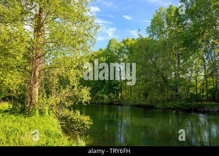 Il fiume Sprea, vicino a Cottbus (Kiekebusch, Brandeburgo) 13 Maggio 2019 | Utilizzo di tutto il mondo Foto Stock