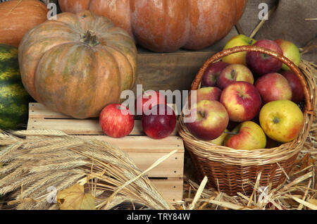 Zucche sulla cassa e mele nel cesto su paglia close up Foto Stock