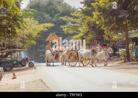 Street umanistiche in Myanmar Foto Stock