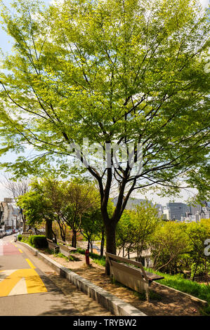 Seoul, Corea, 1 maggio, 2013. Vista del Parco Naksan, prende il nome dalla sua gobba di cammello-come l'apparenza. La montagna è un solido fondamento di granito. Foto Stock