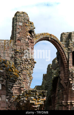 Parte del rovinato Priorato anglosassone di Lidisfarne sulla Holy Island Northumberland Inghilterra Regno Unito Regno Unito Foto Stock