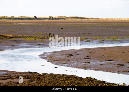 La splendida baia di Budle parte di Lindisfarne Riserva Naturale Nazionale da Waren mulino del Northumberland costa vicino Bamburgh England Regno Unito Foto Stock