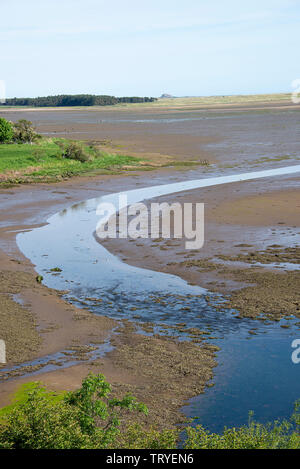 La splendida baia di Budle parte di Lindisfarne Riserva Naturale Nazionale da Waren mulino del Northumberland costa vicino Bamburgh England Regno Unito Foto Stock