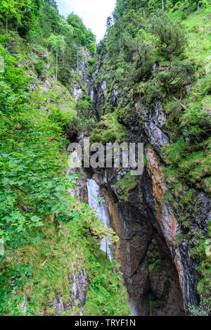 Imponente cascata del piccolo fiume dietersbach in Hölltobel vicino a Oberstdorf Foto Stock