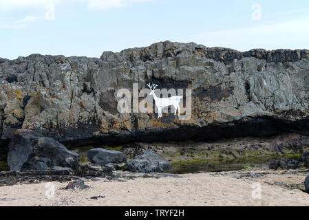 La bella pietra arenaria Dolerite Stag rocce vicino la Wynding sulla costa vicino a Bamburgh Northumberland England Regno Unito Regno Unito Foto Stock