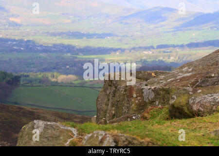 Culbianco - Bordo Stanage, Derbyshire Foto Stock