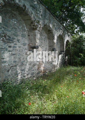 Una parte della parete della città di Andernach, Germania con alberi dietro ed erba con papaveri davanti Foto Stock