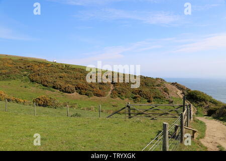 Cleveland modo presso la Baia Ness, a nord di Robin Hood's Bay, Borough di Scarborough, North Yorkshire, Inghilterra, Gran Bretagna, Regno Unito, Gran Bretagna, Europa Foto Stock