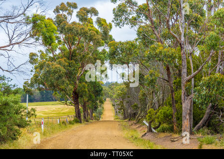 Alberato australiano rurale strada che conduce fuori nella distanza Foto Stock