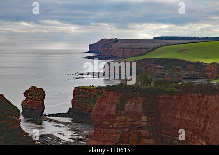 Un mare di pietra arenaria pila in corrispondenza Ladram Bay vicino a Sidmouth, nel Devon. Parte del sud ovest sentiero costiero. Foto Stock