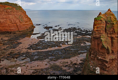 Un mare di pietra arenaria pila in corrispondenza Ladram Bay vicino a Sidmouth, nel Devon. Parte del sud ovest sentiero costiero. Foto Stock