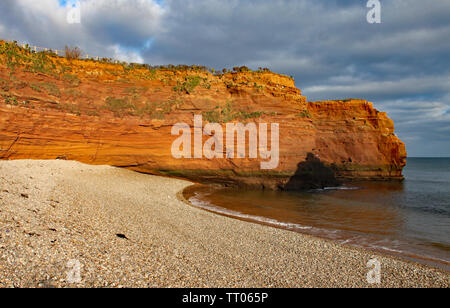 Un mare di pietra arenaria pila in corrispondenza Ladram Bay vicino a Sidmouth, nel Devon nel sole di sera. Parte del sud ovest sentiero costiero. Foto Stock