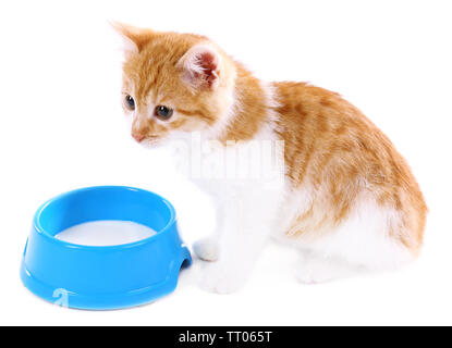 Piccolo gattino bevande latte isolato su bianco Foto Stock