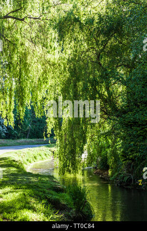 Un piccolo vicolo noto come il Bow Wow che costeggia il fiume Churn nel villaggio Costwold di South Cerney nel Gloucestershire. Foto Stock