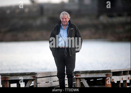 Cane giocando sulla spiaggia di cappella, la Porta Santa Maria, Isola di Man e Isole britanniche Foto Stock