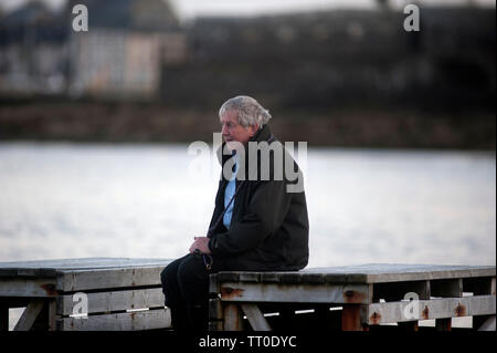 Cane giocando sulla spiaggia di cappella, la Porta Santa Maria, Isola di Man e Isole britanniche Foto Stock