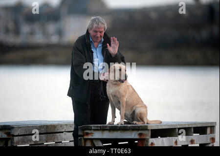 Cane giocando sulla spiaggia di cappella, la Porta Santa Maria, Isola di Man e Isole britanniche Foto Stock