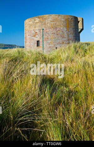 Martello Tower. Magilligan Point. Causeway percorso costiero. La Contea di Londonderry, Irlanda del Nord Europa Foto Stock