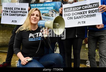 PETA protesta contro asino crudeltà di Santorini. La sede dell' ambasciata di Grecia, Holland Park, Londra. Regno Unito Foto Stock