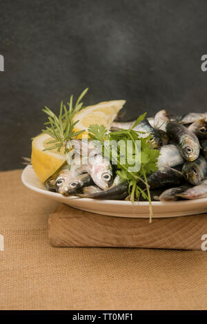 Sarde fresche su un vassoio con le fette di limone Foto Stock