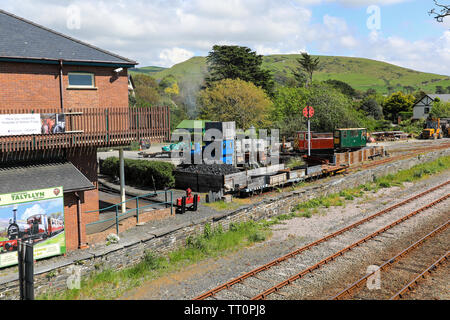 Un motore a vapore chiamato 'Douglas' alla stazione Tywyn sul Talyllyn ferrovia che corre da Tywyn di Nant Gwernol, Gwynedd, Wales, Regno Unito Foto Stock