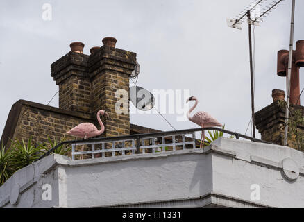 Artificiale fenicottero rosa sul tetto sopra la corona e due presidenti pub Foto Stock