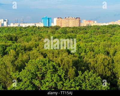 Vista aerea del grande parco cittadino e case residenziali sull orizzonte nella soleggiata sera d'estate Foto Stock