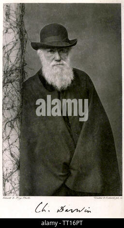 CHARLES DARWIN (18-9-1882) naturalista inglese circa 1881 Foto Stock