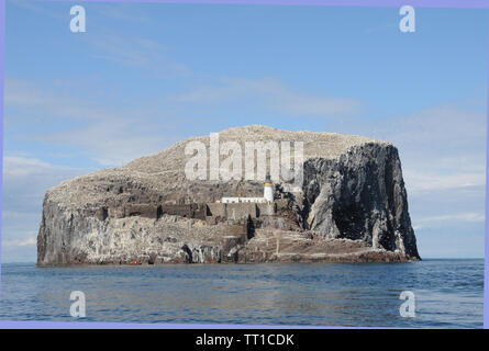 La Bass Rock, una facciata ripida roccia vulcanica off shore da est della terraferma scozzese sulla parte esterna del Firth of Forth. Foto Stock