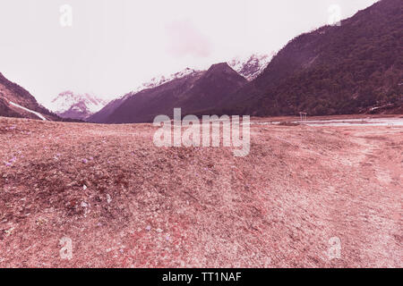 Panorama,rolling,Lachung fiume,nella pianura alluvionale,valley,primula,in genere,bloom,la metà di aprile di ogni anno,ma blooming,modifica,a causa di considerazioni di carattere ecologico,modifiche,Nord Foto Stock