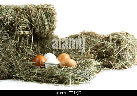 Uova in hay, isolato su bianco Foto Stock