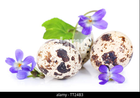 Composizione di pasqua con violette fiori nei gusci delle uova sul tavolo di legno Foto Stock