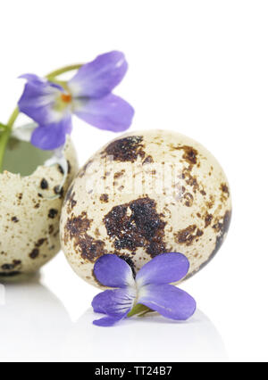 Composizione di pasqua con violette fiori nei gusci delle uova sul tavolo di legno Foto Stock