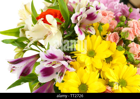 Bellissimi fiori close up Foto Stock