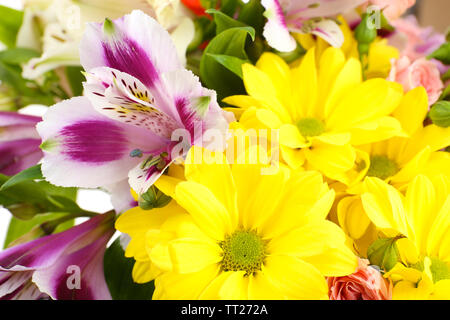 Bellissimi fiori close up Foto Stock