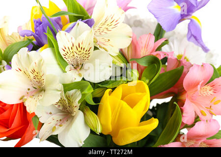 Bellissimi fiori close up Foto Stock