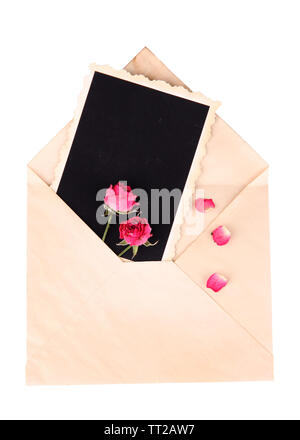 Vecchia busta vuota con la carta fotografica e di un bel colore rosa rose essiccate, isolato su bianco Foto Stock