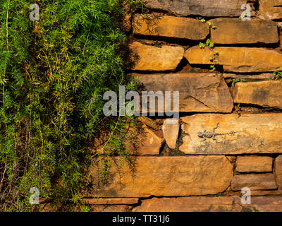 Durban, natura, gli orari di alba e tramonto Foto Stock