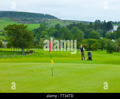 Campo da Golf. Bonamargy Friary. Ballycastle villaggio. Causeway percorso costiero. Contea di Antrim, Irlanda del Nord Europa Foto Stock