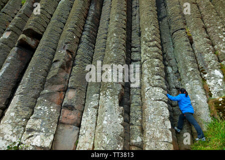 Organo a canne di colonne di basalto. Il Selciato del gigante. Sito del Patrimonio mondiale. Causeway percorso costiero. Contea di Antrim, Irlanda del Nord Europa Foto Stock