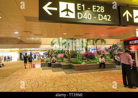 La sala partenze giardini e architettura del paesaggio all'interno di Singapore Changi International Airport, Singapore, Sud-est asiatico Foto Stock