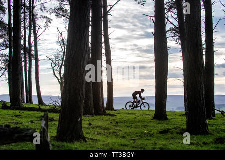 Un uomo che cavalca un touring bike off road nel Parco nazionale di Northumberland. Foto Stock