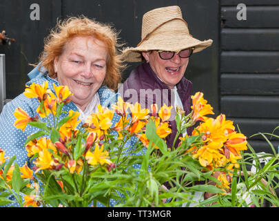 Crosshaven, Cork, Irlanda. 14 Giugno, 2019. Tecla Cronin e Bee FitzGearld occupato composizione floreale per il Royal visita del Re Willem-Alexander e Regina Máxima dei Paesi Bassi di Crosshaven, Co. Cork, Irlanda. Credito: David Creedon/Alamy Live News Foto Stock