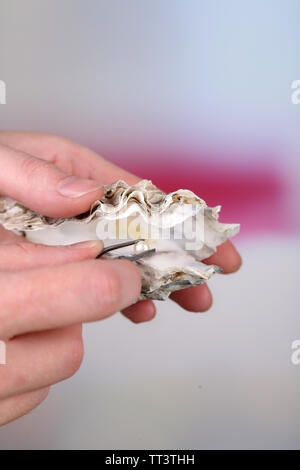 Mano con pinzette perla di contenimento e Ostrica su sfondo maturo Foto Stock