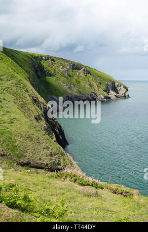 Robusto paesaggi costieri a Mwnt Bay in Ceredigion, Galles Foto Stock