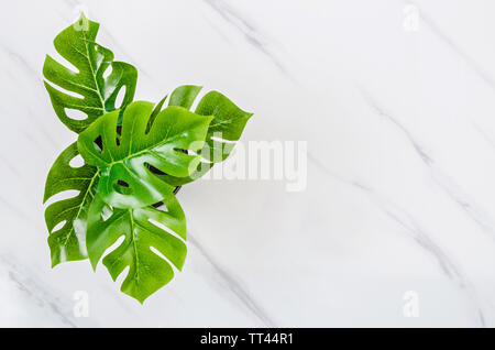 Tropical foglie verdi su sfondo marmo. Piatto, laici vista superiore Foto Stock