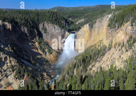 Caduta inferiore del Yellowstone River Foto Stock