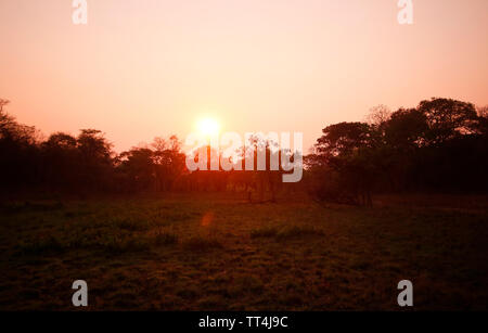 Sunrise nel Parco Nazionale di Kafue. Zambia Foto Stock