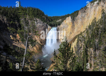 Caduta inferiore del Yellowstone River Foto Stock