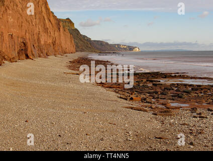 La spiaggia di ciottoli a Sidmouth nel Devon con il rosso scogliere di arenaria della Jurassic Coast in background. Foto Stock